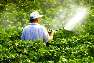 Pesticides & Fertilizers